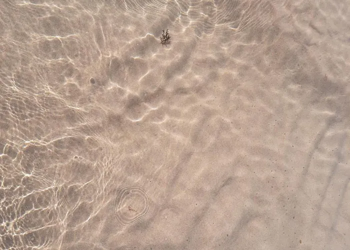 Sunny Da Viana, 펜션 알제주르