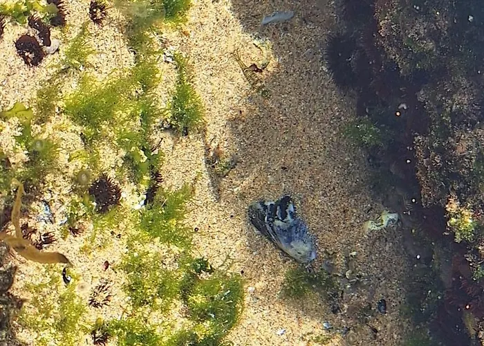 Hébergement de vacances Sunny Da Viana, Aljezur