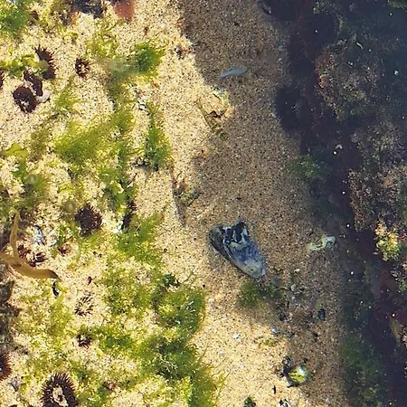 Semesterbostad Sunny Da Viana, Aljezur